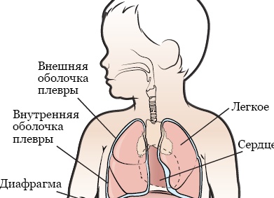Диафрагма и грудная клетка, как индикаторы ваших эмоций